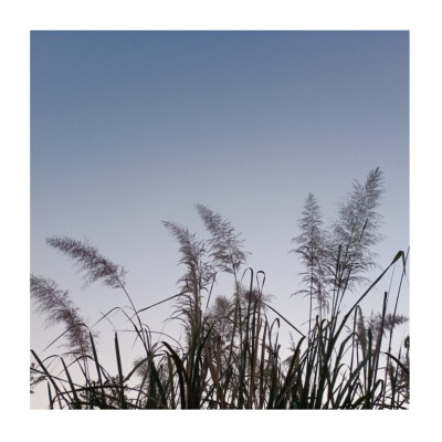 等到分不清季节更替，才敢说沉溺。
——《水星记》