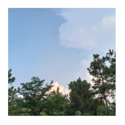 等到分不清季节更替，才敢说沉溺。
——《水星记》