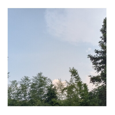 等到分不清季节更替，才敢说沉溺。
——《水星记》