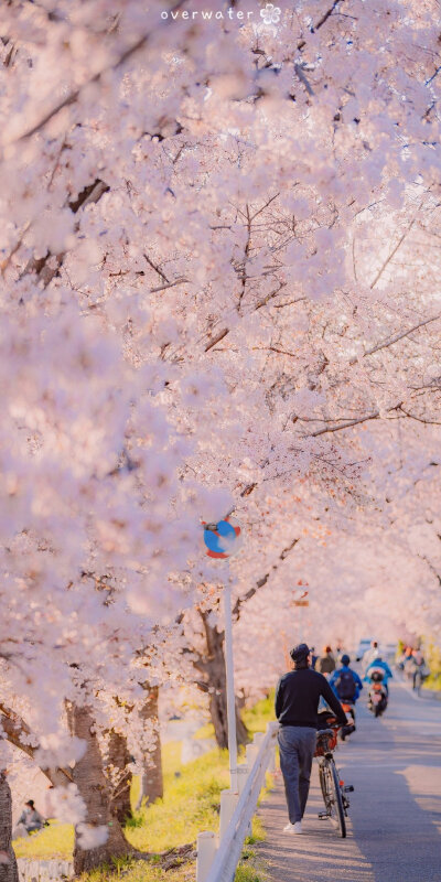 天也醉?；?云脚满蹒跚.
手机壁纸/风景壁纸/樱花壁纸/锁屏壁纸/高清壁纸/无水印壁纸/少女心壁纸/天空壁纸/聊天背景/神仙背景/壁纸
cr.overwater