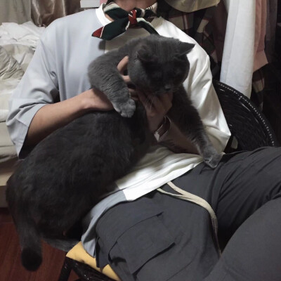 部位男头