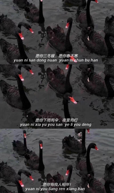 壁纸 三屏 文字
你喜欢的我都有