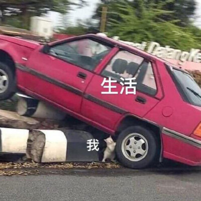 表情包