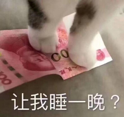 表情包（关于睡觉）