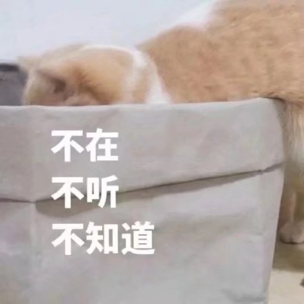 猫猫狗狗