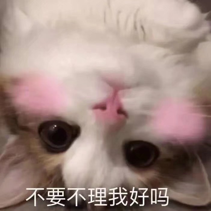 猫猫狗狗