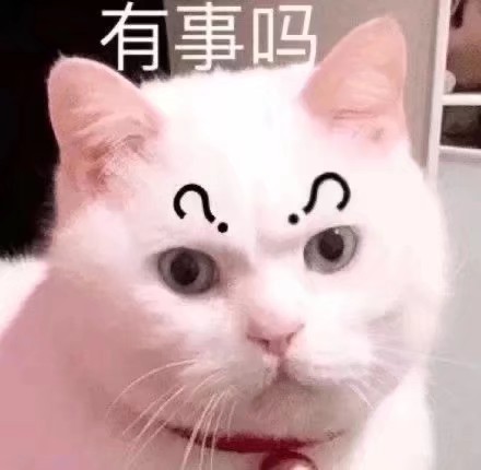 猫猫狗狗