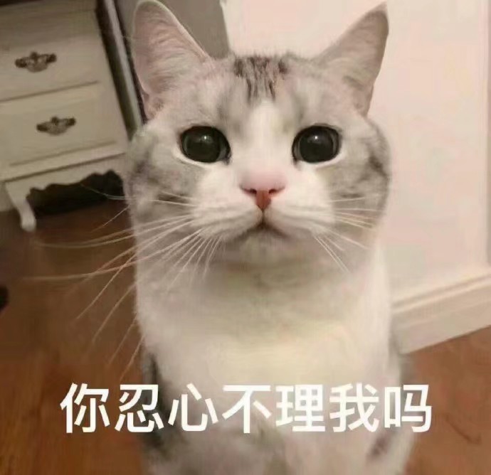 猫猫狗狗