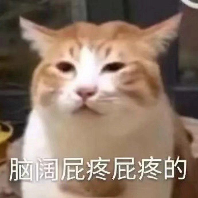 猫猫狗狗