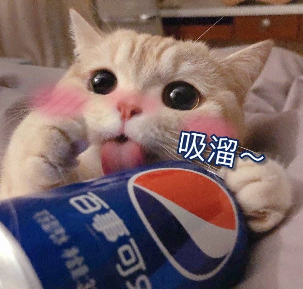 猫猫狗狗