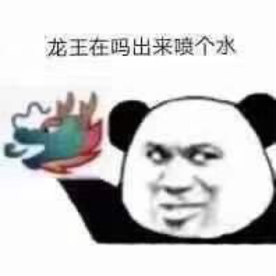 龙王表情包