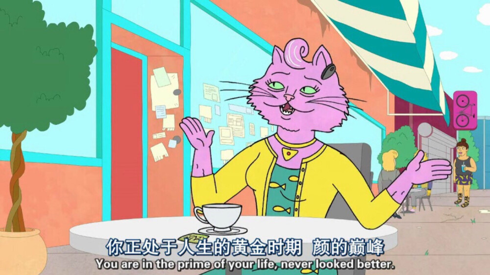 波杰克与猫小姐