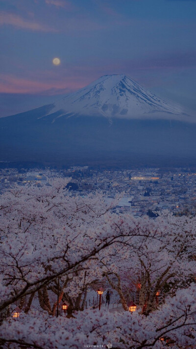 富士山