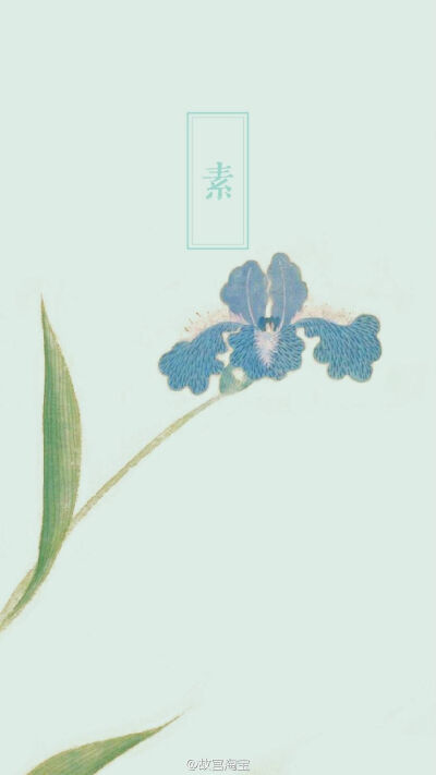 故宫 花纹