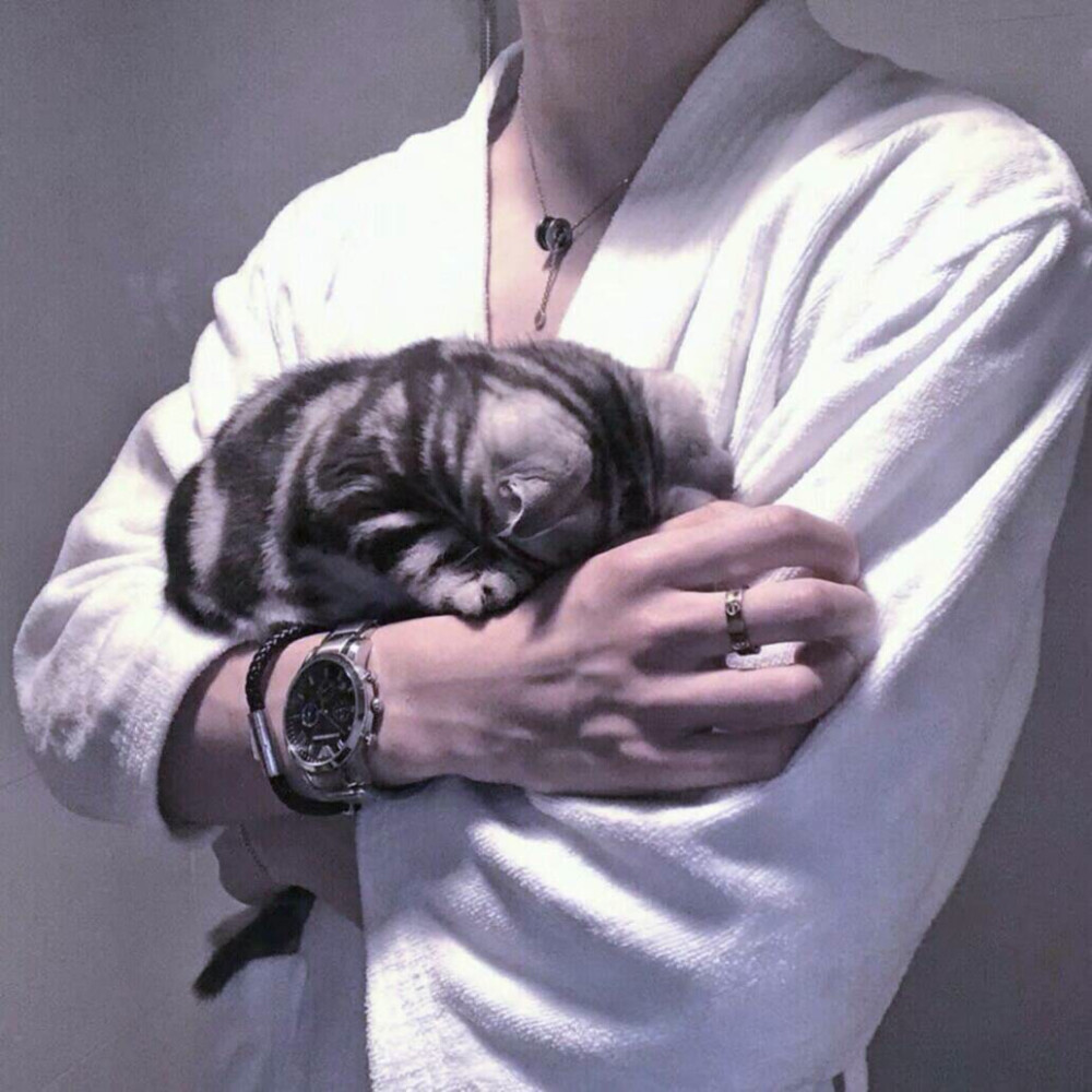部位