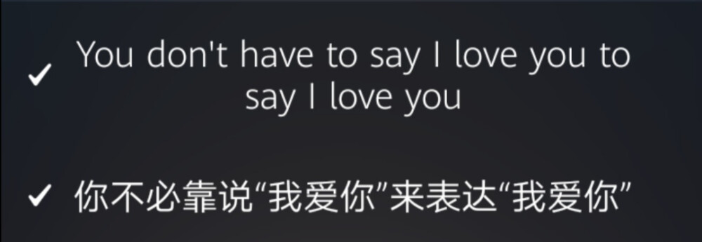 You don't have to say I love you to say I love you，你不必靠说“我爱你”来表达“我爱你”。——Troye Sivan/Allday《for him.》