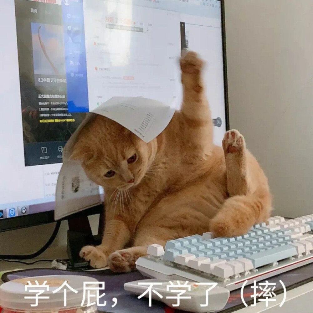 沙雕 表情包