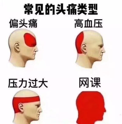 学习表情包