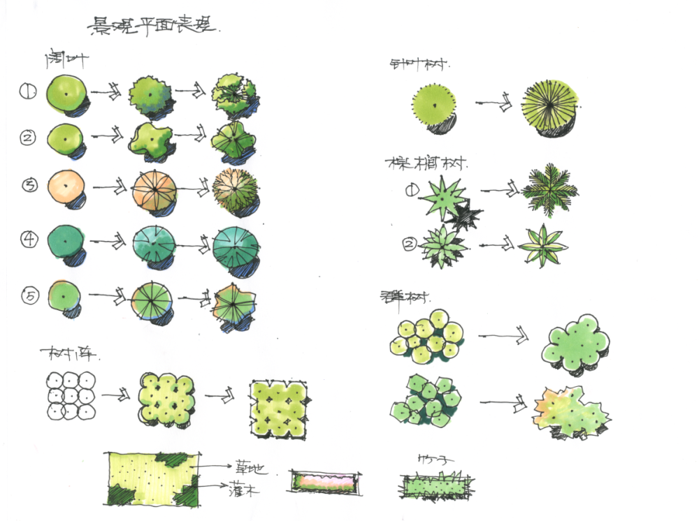 景观设计大坑