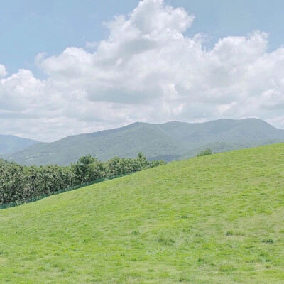 我想看看灿烂春景和你眉山的光