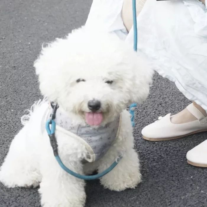 今日份心动♡
情头♡情侣头像