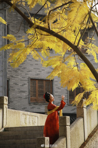 #成都约拍##客片分享#
「
杨家有女初长成，
养在深闺人未识。
」
——————————
摄后@七里的里
妆造@捉住一个小长青
汉服@上遥居汉服
出…