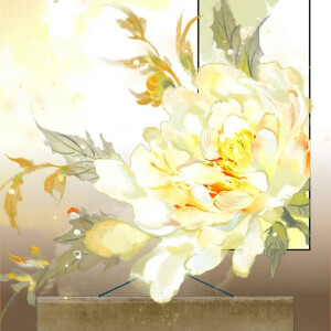 <天官赐福漫画>收藏前请看专辑介绍