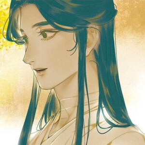 <天官赐福漫画>收藏前请看专辑介绍