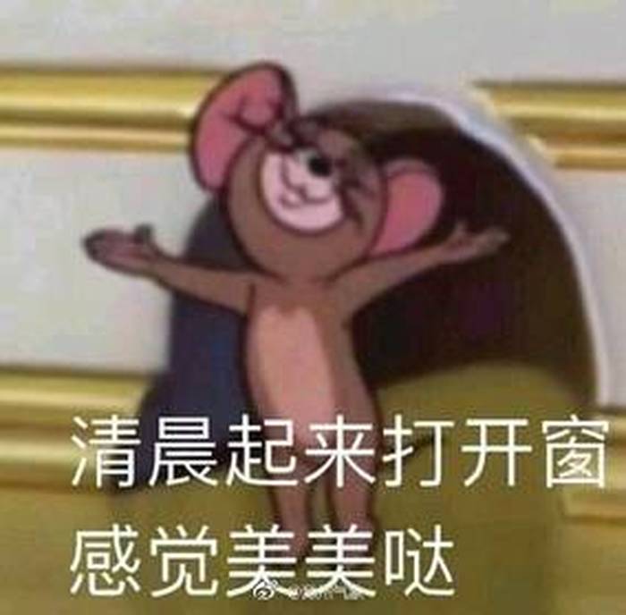 公众号分享羊 免费找资源