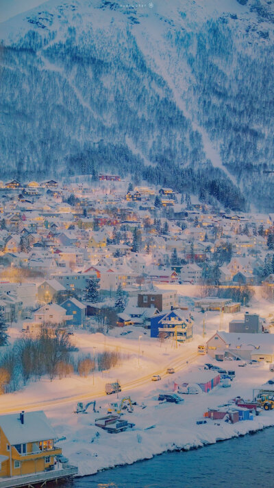 雪景 雪夜