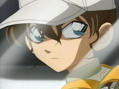 可爱的，高冷的都有