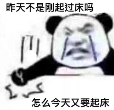 沙雕表情包