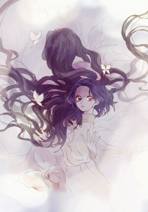 蝶屋姐妹 蝴蝶香奈惠 蝴蝶忍栗花落香奈乎 神崎葵 三小只（别叫什么忘记了）