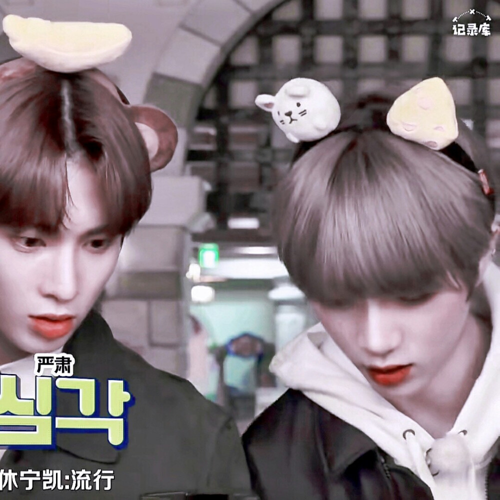 姜泰现 休宁凯 崔范奎