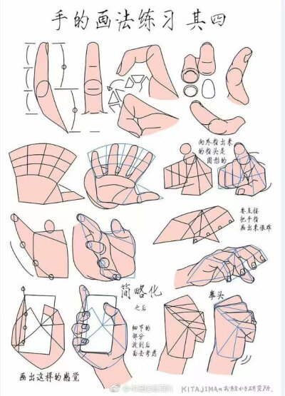 手，教程（图源网，侵删）