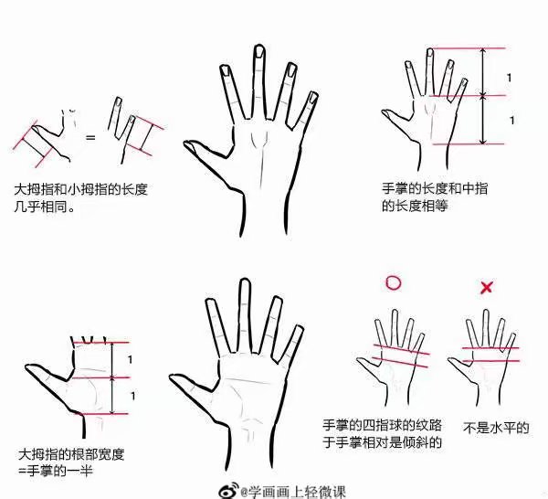 手，教程（图源网，侵删）