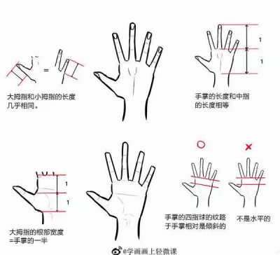 手，教程（图源网，侵删）