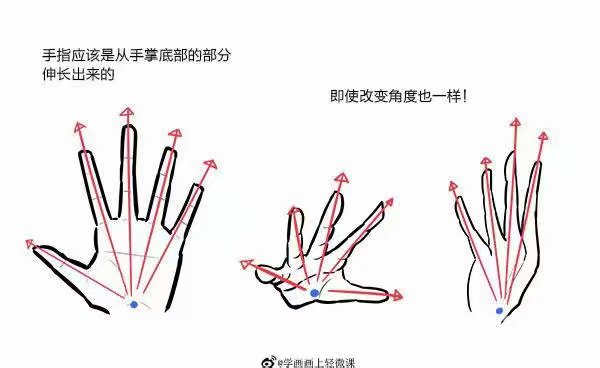 手，教程（图源网，侵删）