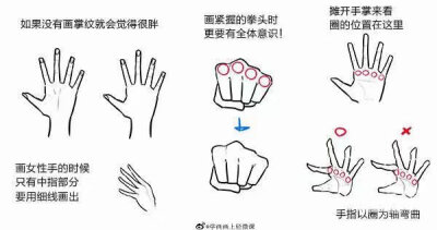 手，教程（图源网，侵删）