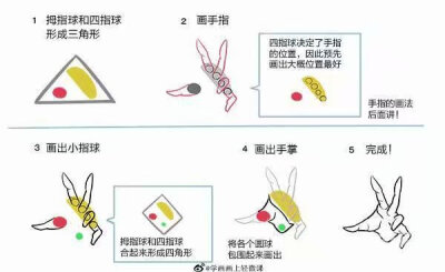 手，教程（图源网，侵删）