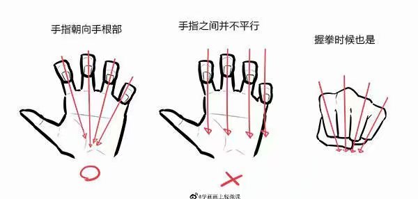 手，教程（图源网，侵删）