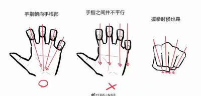手，教程（图源网，侵删）