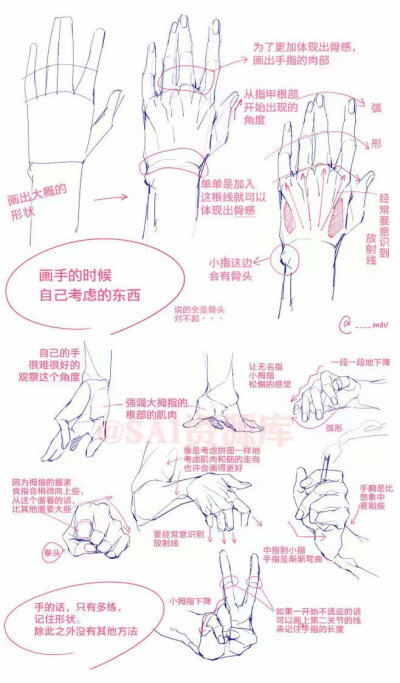 绘画，手，教程（图源网，侵删）