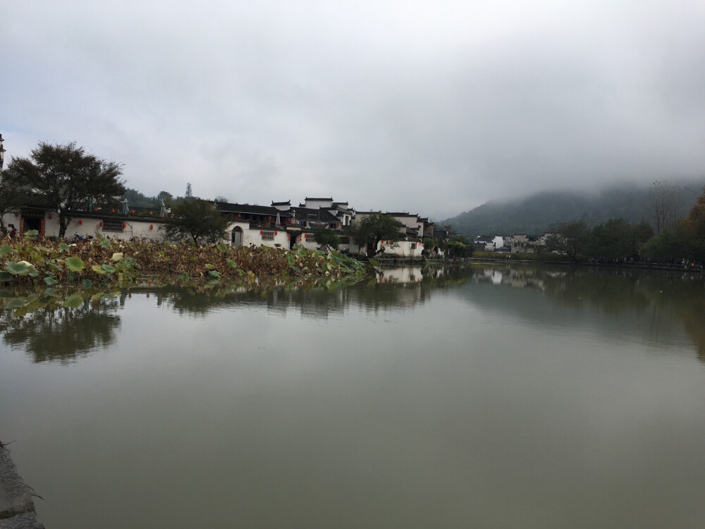 徽州研学随手拍下的风景。别有一番风情呢…