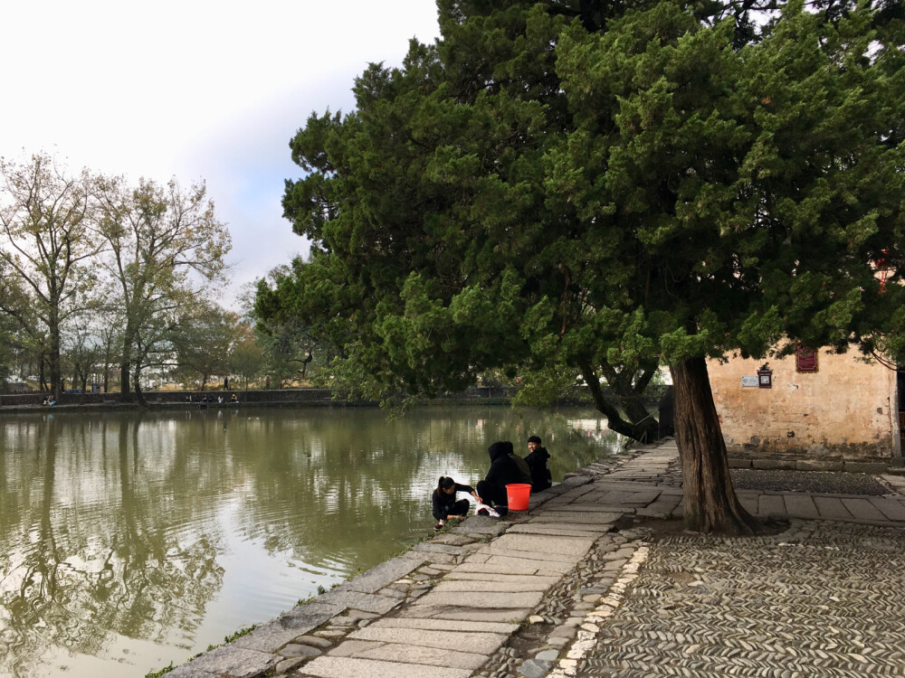 徽州研学随手拍下的风景。别有一番风情呢…