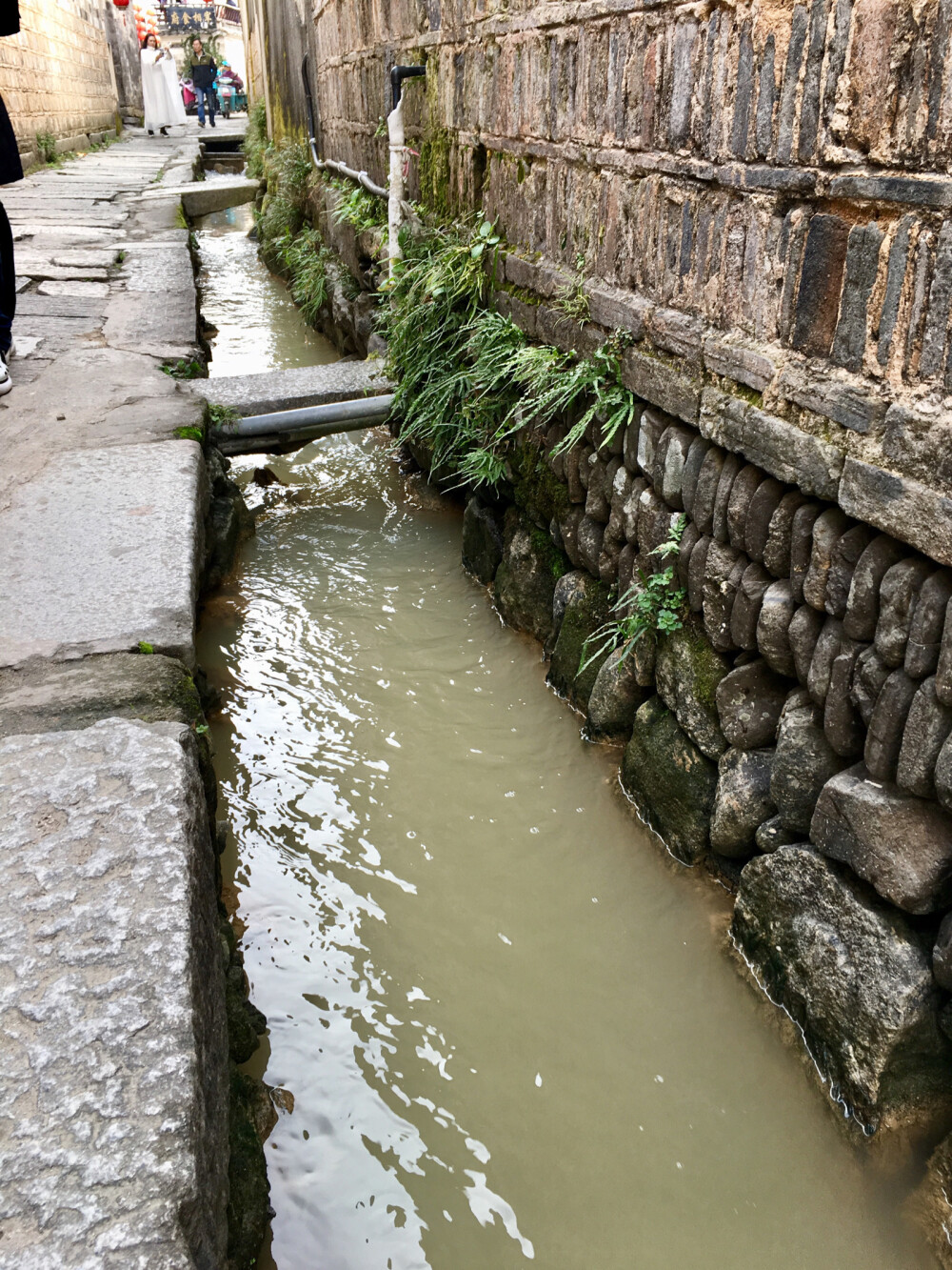 徽州研学随手拍下的风景。徽派建筑难得一见