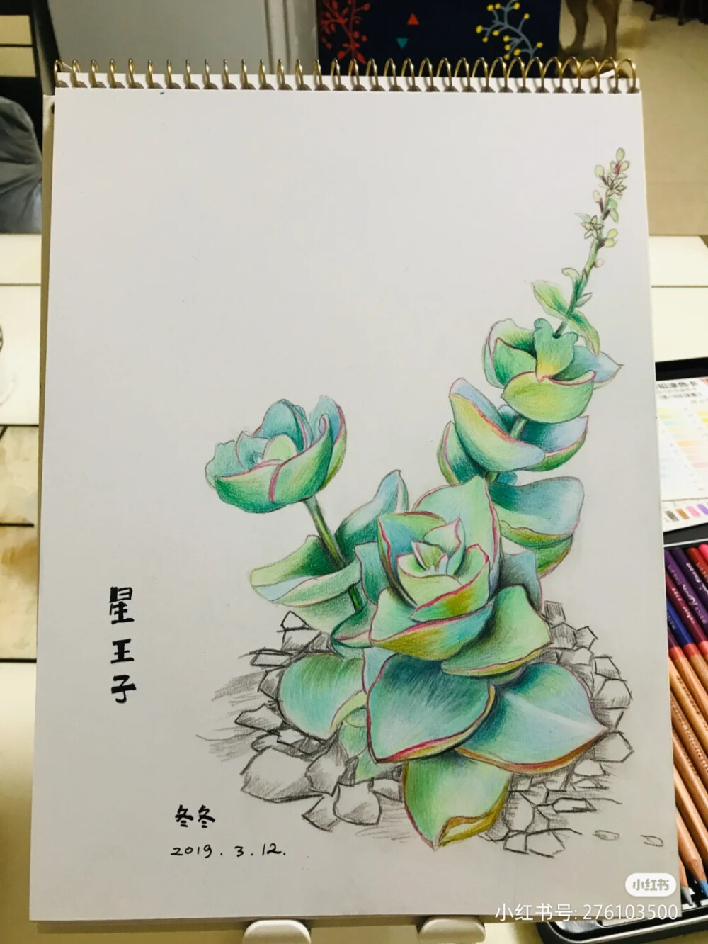 彩铅画