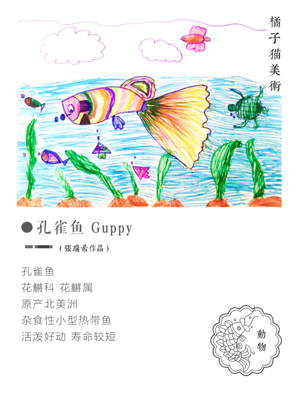 孔雀鱼