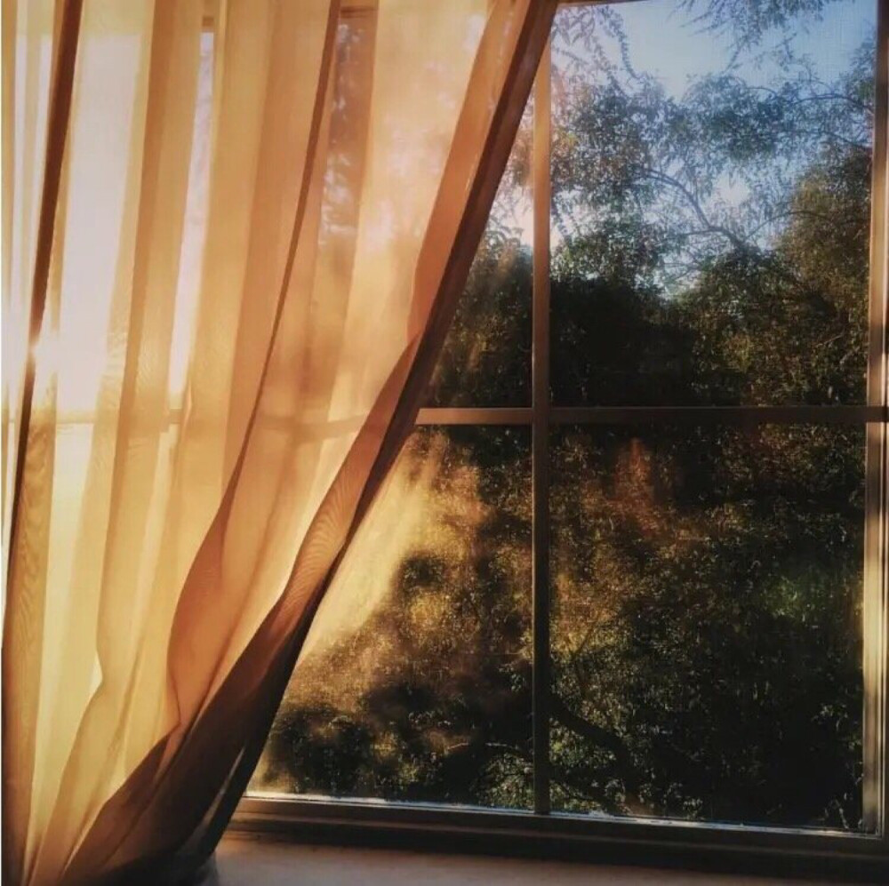 朋友圈背景图|橙色|阳光明媚|小清新