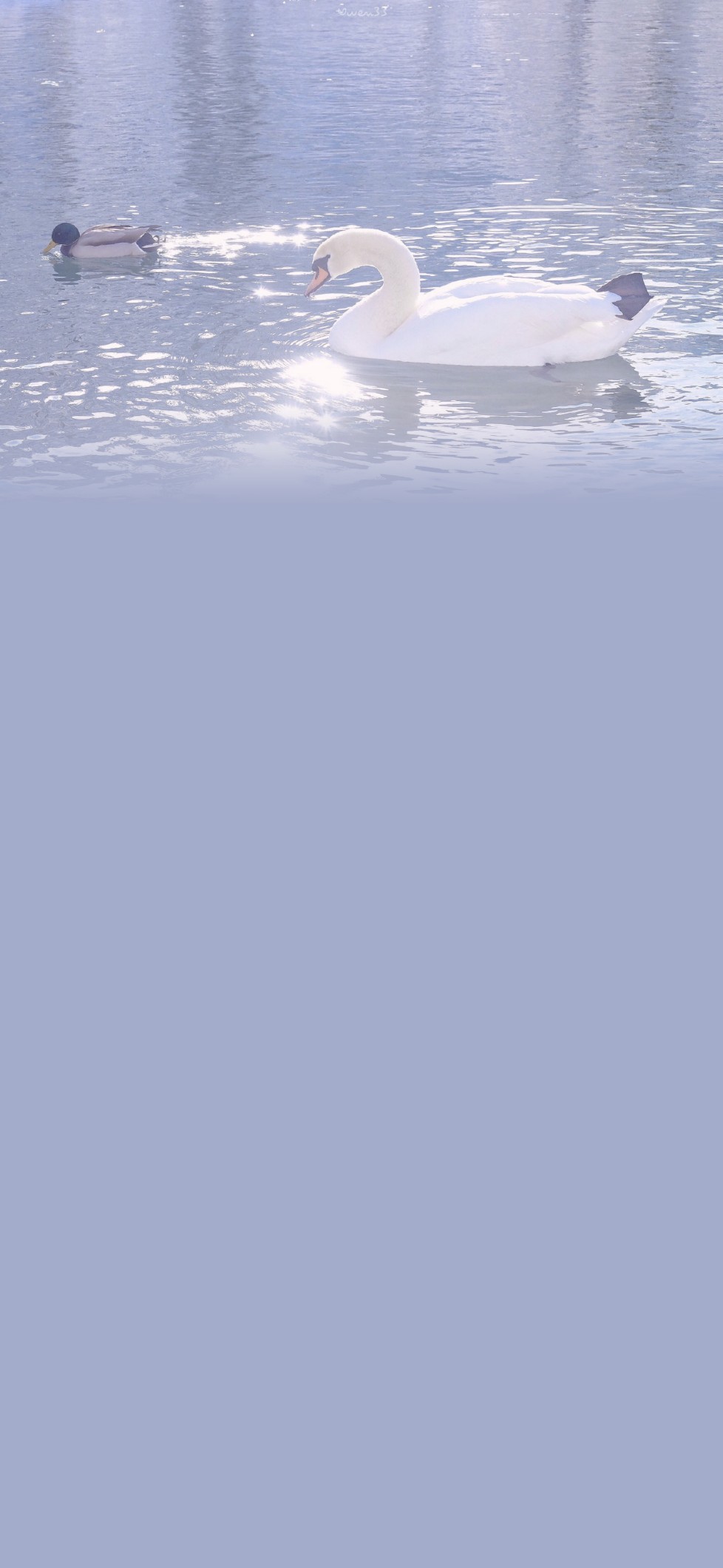 如果你要拥抱我请提前告诉我，我要把小肚子收起来